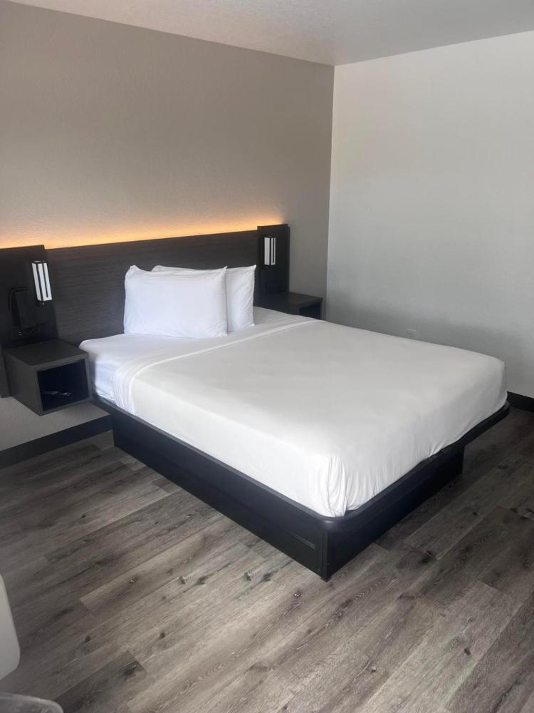 Double Room - Disability Access - Roll In Shower interior